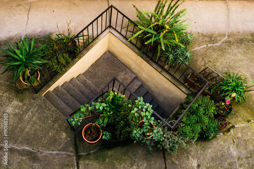 Stairwell With Greenery