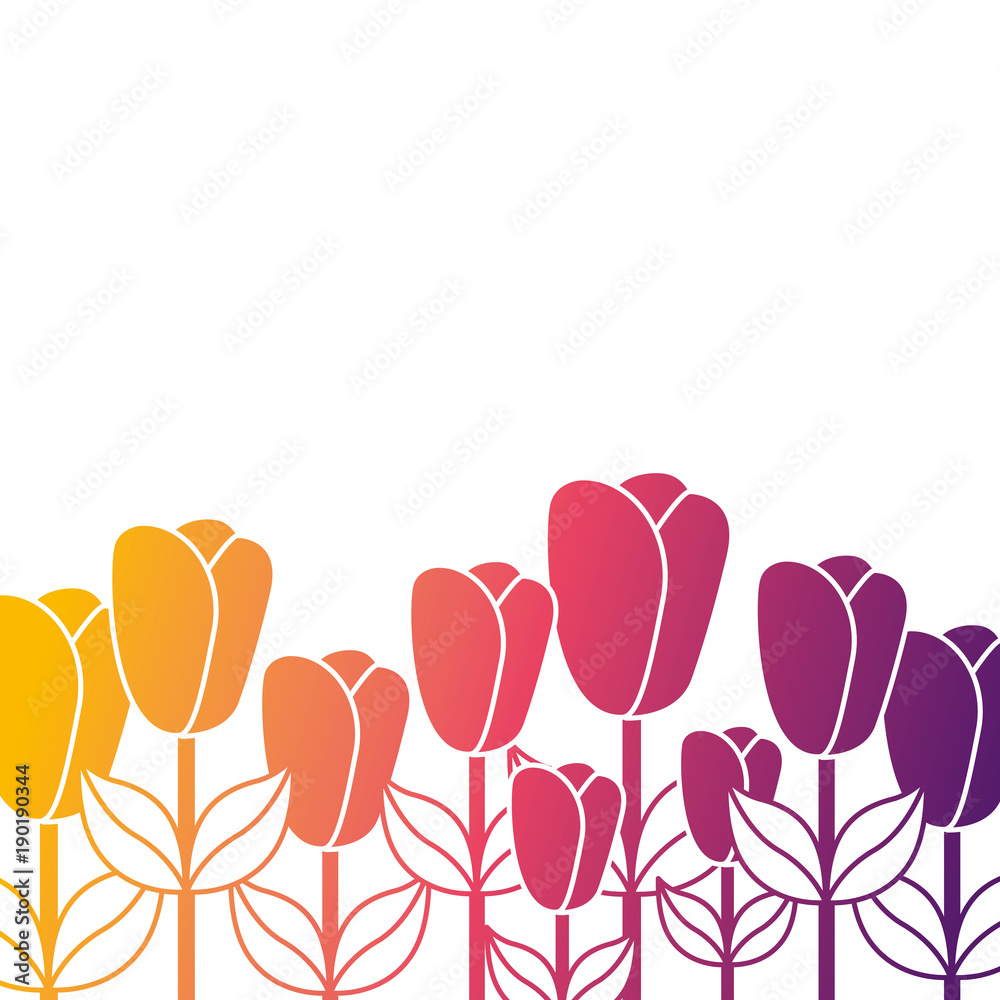 flowers and leaves natural spring decoration vector illustration