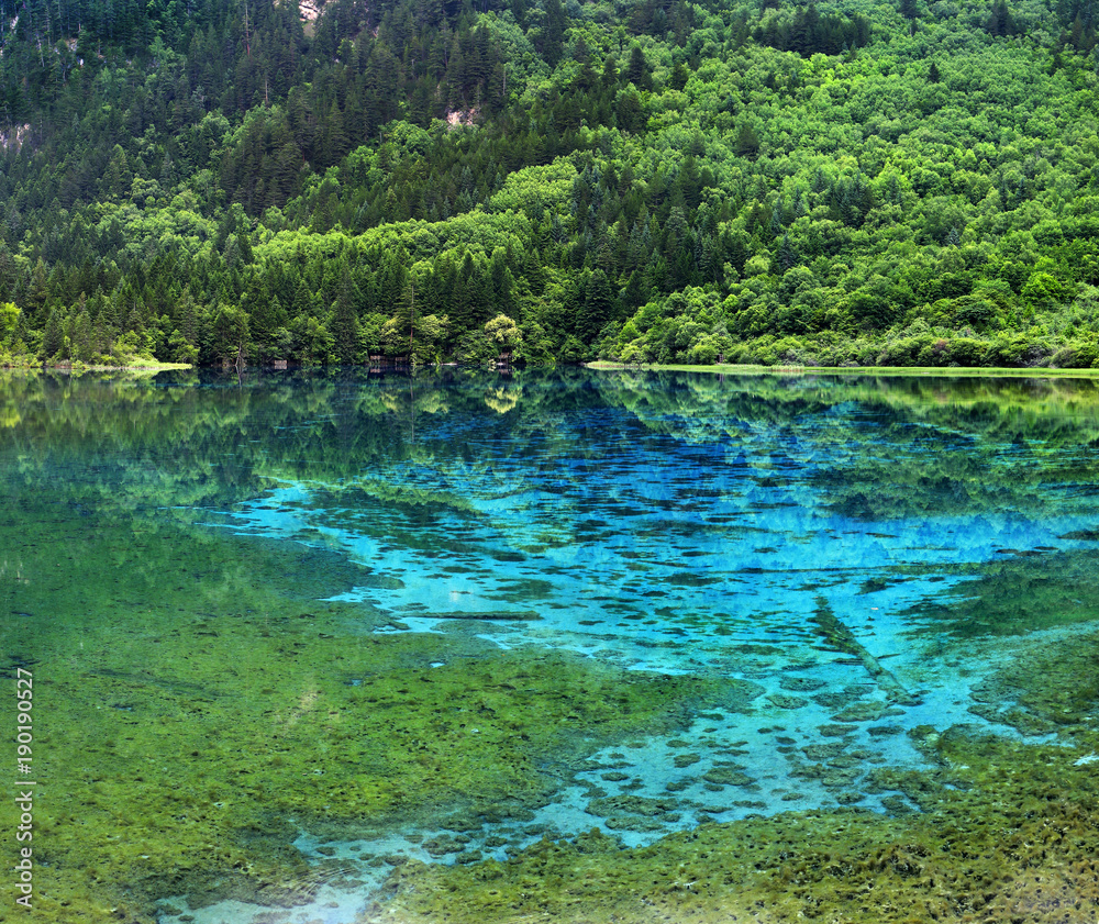 view of colorful lake in jiuzhaigou national park, Sichuan, china view of colorful lake in jiuzhaigou national park, Sichuan, china