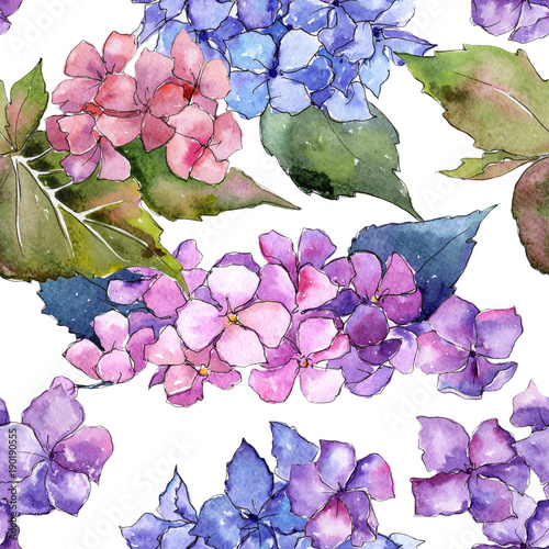 Wildflower hydrangea flower pattern in a watercolor style. Full name of the plant: hydrangea. Aquarelle wild flower for background, texture, wrapper pattern, frame or border.