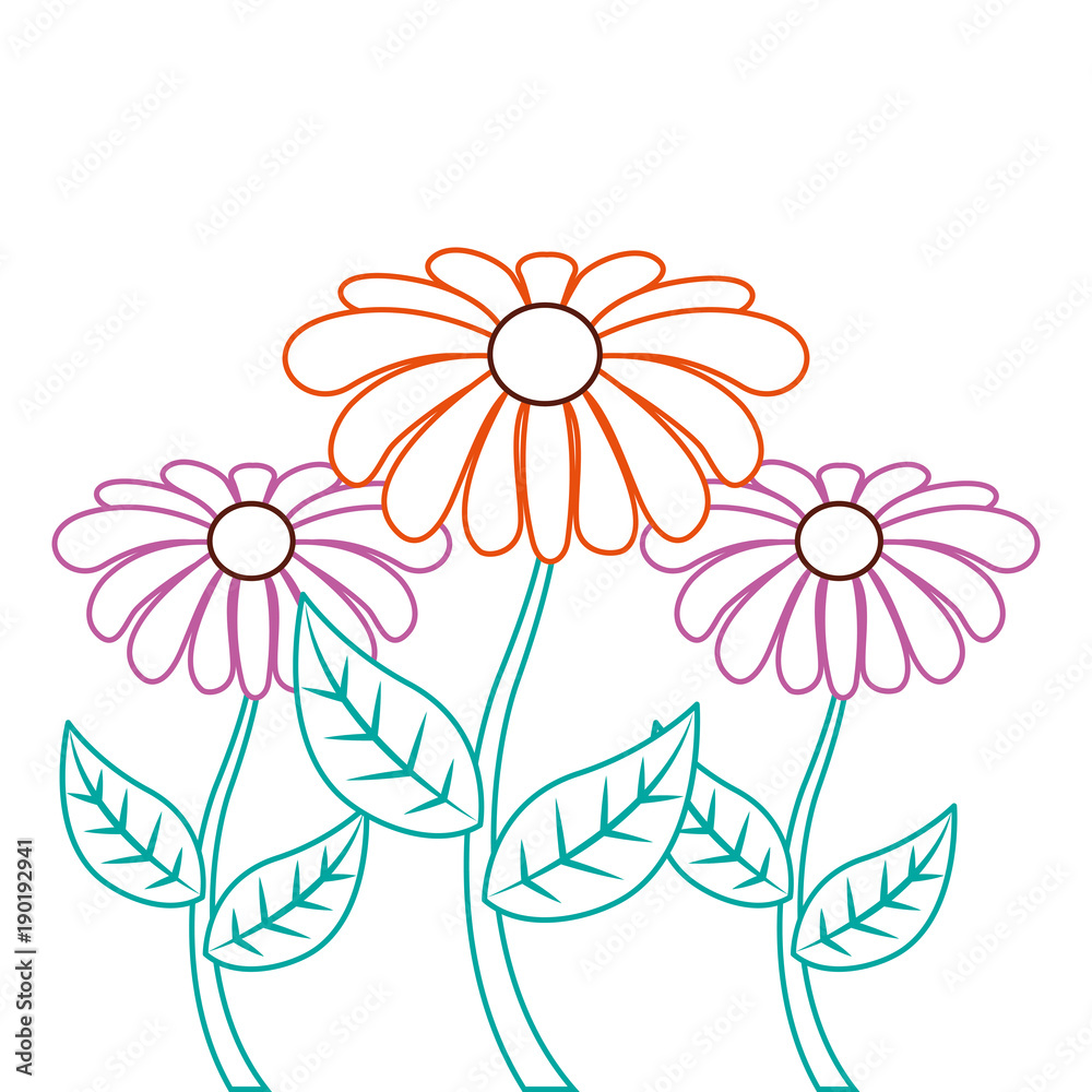 round floral flowers arrangement spring decoration vector illustration color lineal design
