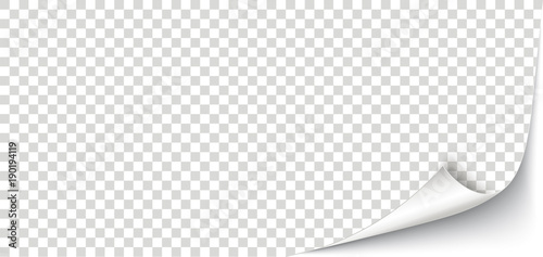 Scrolled Corner White Paper Cover Transparent
