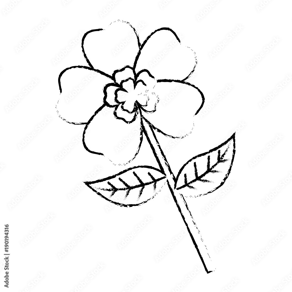 flower stem petal leaves natural spring image vector illustration sketch image flower stem petal leaves natural spring image vector illustration sketch image