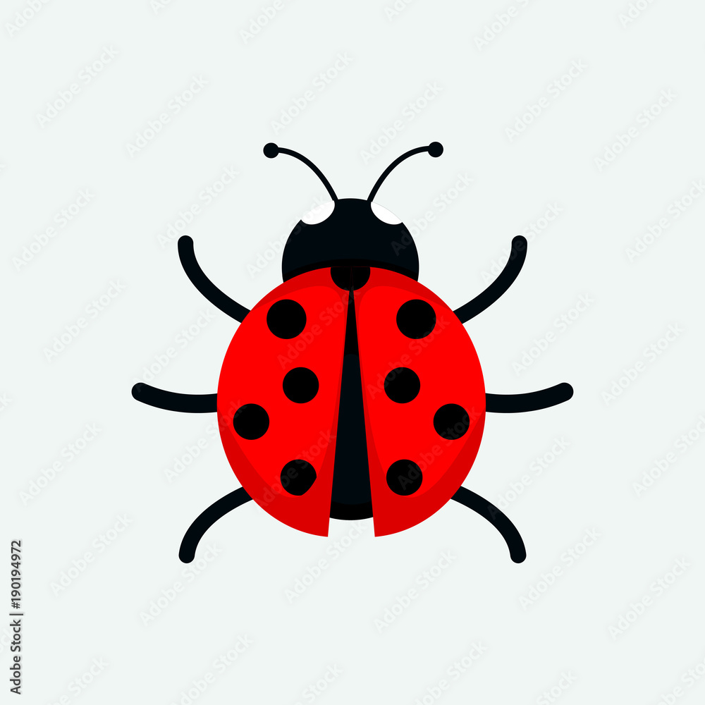 Cute Ladybug Drawing Illustration Graphic Cute Ladybug Drawing Illustration Graphic
