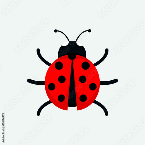 Cute Ladybug Drawing Illustration Graphic © Svvell