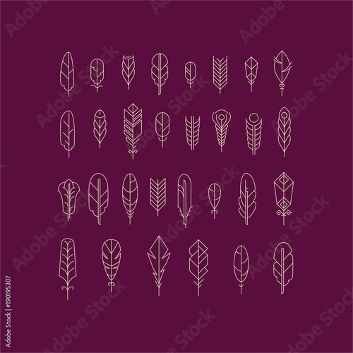 Graphical line feathers set. Design elements or linear signs.