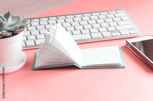 Pink table with copyspace and white laptop (keyboard), smartphone, notebook and succulent plant. Close-up lifestyle background.