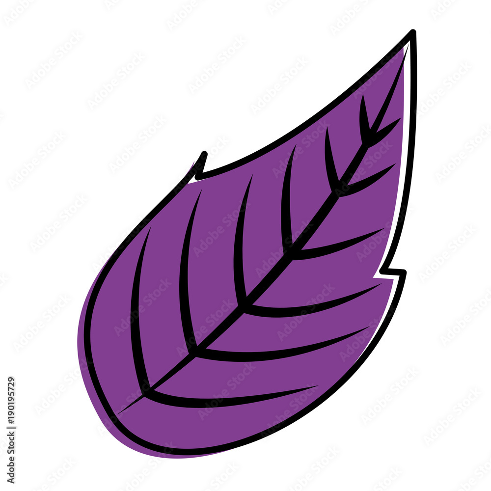 natural leaf botanical spring image vector illustration natural leaf botanical spring image vector illustration