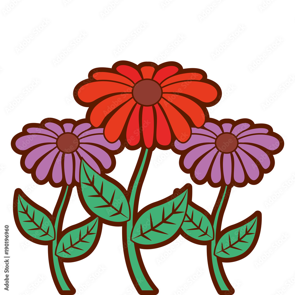 Obraz premium decoration three stem petal flower leaf botanical vector illustration
