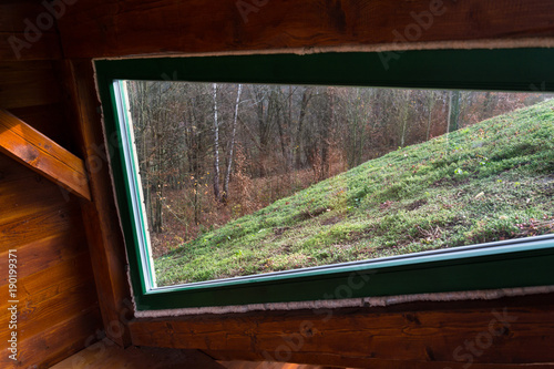 Fotografija Top of extensive green living sod roof covered with vegetation mostly sedum sexa