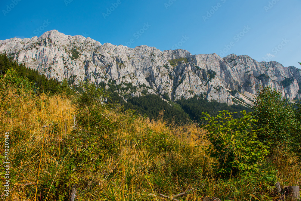 Limestone mountains. Southern Carpathians, Romania