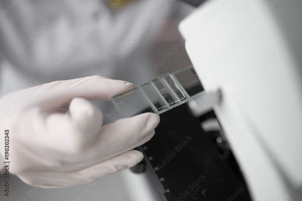 close up of scientist hands with microscope, examining samples close up of scientist hands with microscope, examining samples