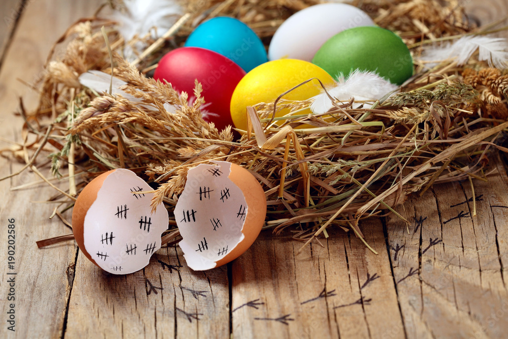 Fototapeta premium Concept of an escaped from egg of young chicken.Colourful Easter eggs in the nest. On wooden rustic background.Creative Easter background.Selective focus.Chicken eggs.Closeup.Easter greeting cards