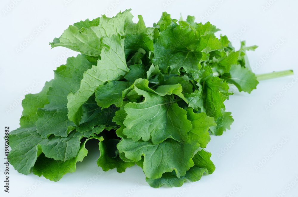 Bunch of turnip leaves on a white background. Top view. Bunch of turnip leaves on a white background. Top view.