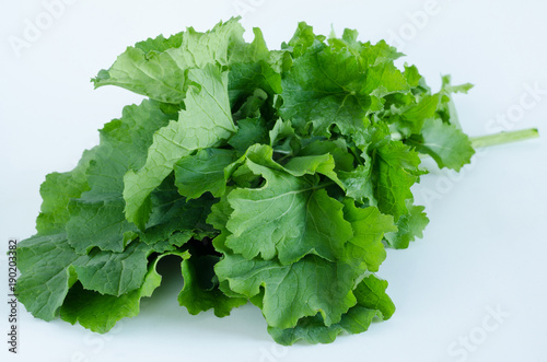Bunch of turnip leaves on a white background. Top view.