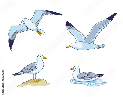 Seagulls - vector illustration
