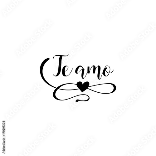 Handwritten calligraphy phrase in Spanish Te Amo. Vector illustration. Spanish translation: I love you photo