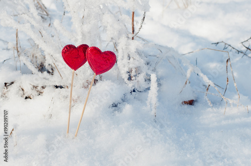 Copy space. Nice red hearts in winter snow.