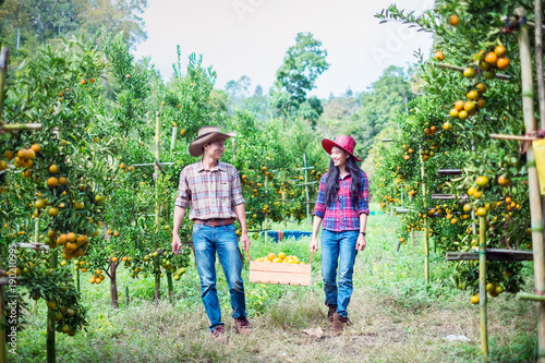 Portrait of happy farmer couple harvesting oranges in an orange tree field