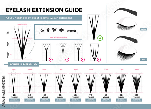 Eyelash extension guide. Volume eyelash extensions. 2D - 10D Volume. Tips and tricks. Infographic vector illustration. Template for Makeup and cosmetic procedures. Training poster