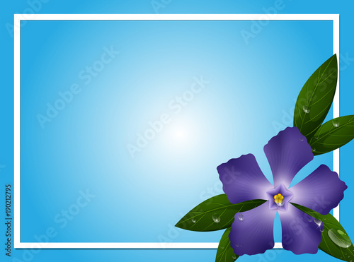 Border template with blue periwinkle flower