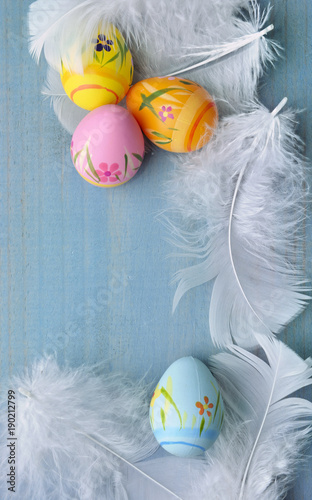 easter eggs in white feathers on blue background