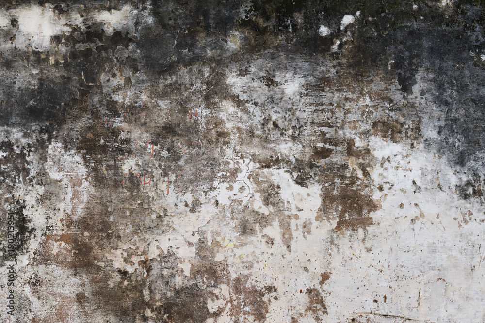 Obraz premium Wall texture
