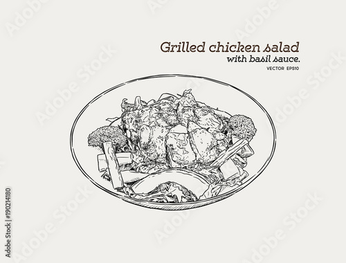 Grilled chicken salad with pesto sauce. Hand draw sketch food vector.