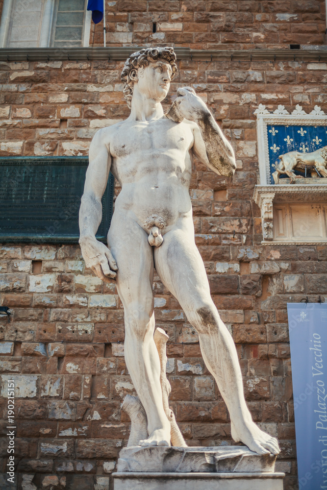 Obraz premium Famous sculpture of David realized by Michelangelo in Florence