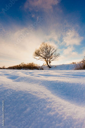 Beautiful winter landscape at the morning © meatbull