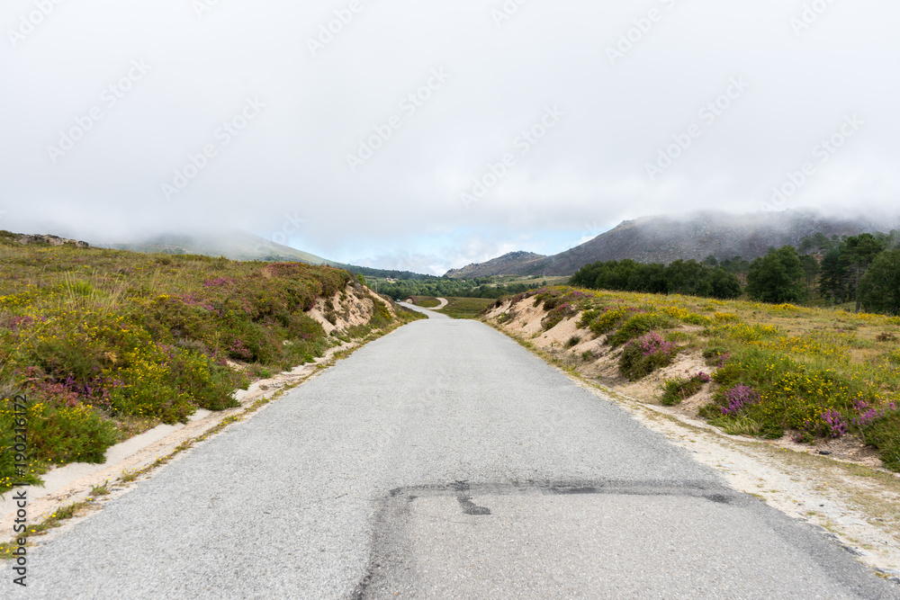 Road in the middle of mountain landscape with fog