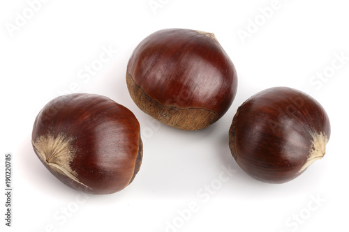 fresh edible chestnut isolated on white background