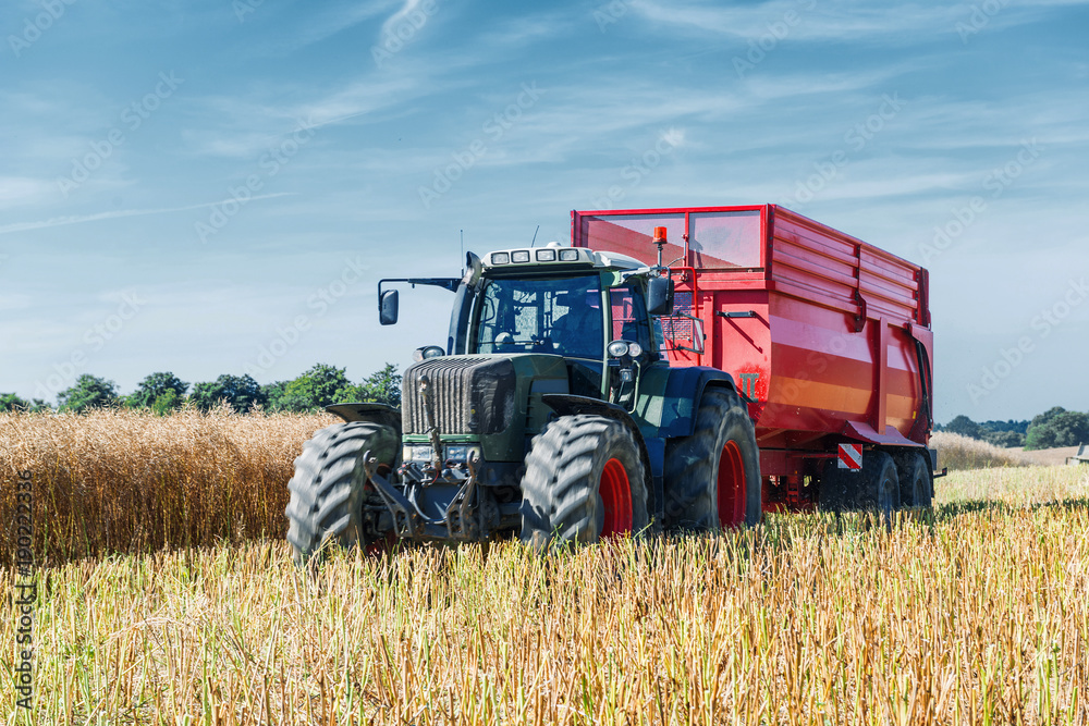 Tractor with loader wagon on the rape field at harvest - 2060 Tractor with loader wagon on the rape field at harvest - 2060