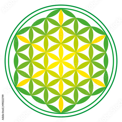 Green Energy Flower of Life over white. Ancient symmetrical symbol, composed of multiple overlapping circles, starting by a single circle, forming a flower like pattern. Sacred geometry. Vector.