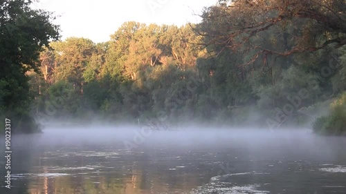 Morning on the river early morning reeds mist fog photo