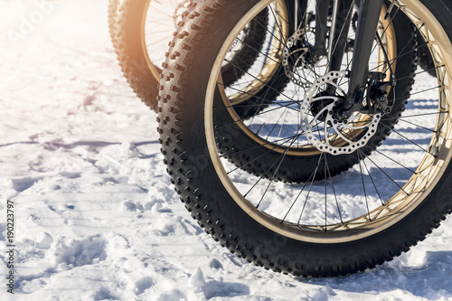 close up of fatbike tires in the snow photo