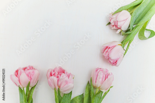 Fototapeta Naklejka Na Ścianę i Meble -  Bouquet of pink tulips over shabby white wooden table. Spring greeting card happy mother day copy space