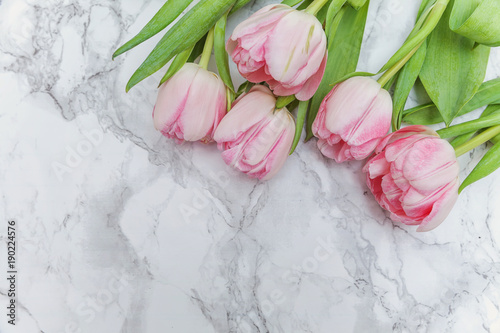 Fototapeta Naklejka Na Ścianę i Meble -  Pink tulips flatlay on the marble background with copy space