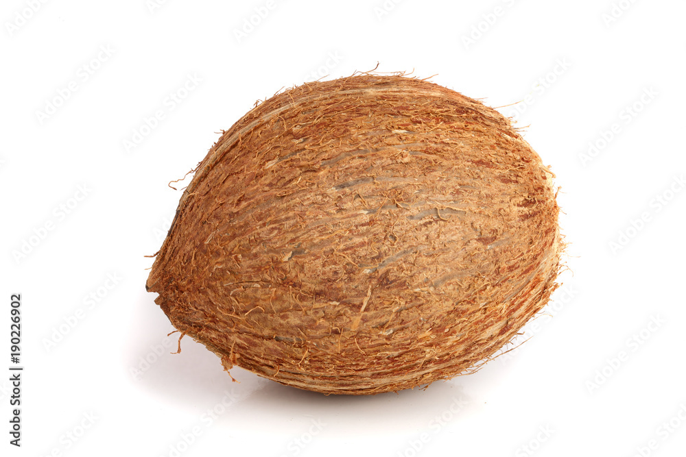 whole coconut isolated on white background whole coconut isolated on white background