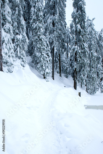 Verschneiter Weg im Winter © VRD