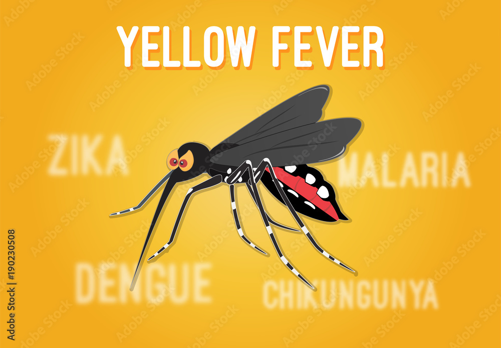 Yellow Fever English Title Stock Vector | Adobe Stock