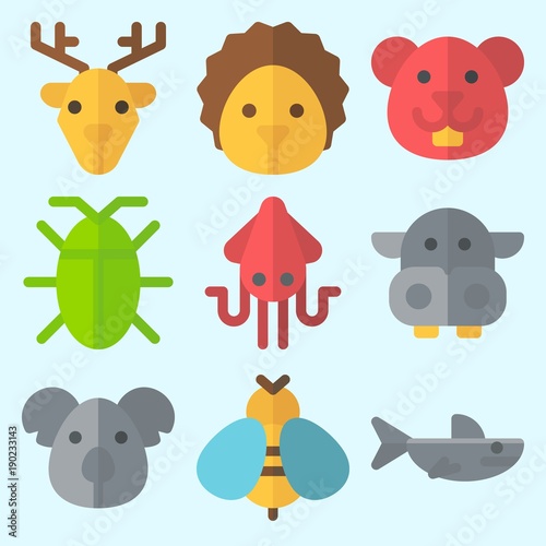 Photography Icons set about Animals with cockroach, wasp, hamster, squid, hedgehog and koala