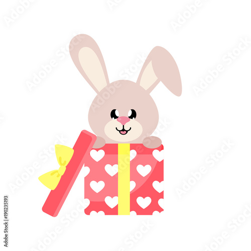 cartoon cute bunny gift