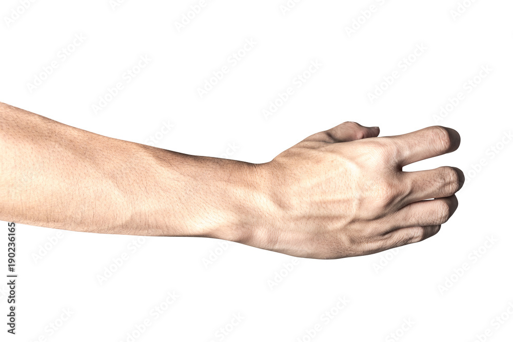 hand holding something like a bottle or can hand holding something like a bottle or can