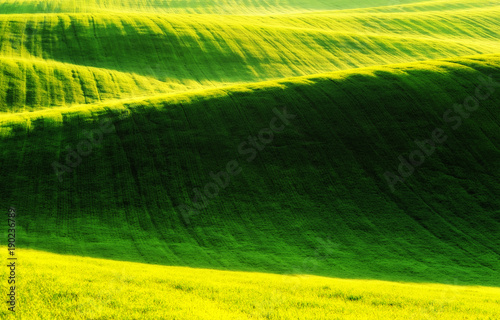 spring field. picturesque hilly field. agricultural field in spring