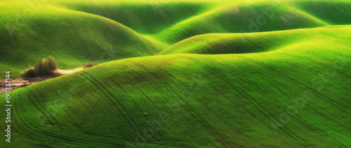 spring field. picturesque hilly field. agricultural field in spring
