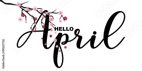 Hello April, spring related motivational quote, isolated on white background, vector illustration. Handwritten letters, Japanese sakura branch, little cute flowers falling. photo