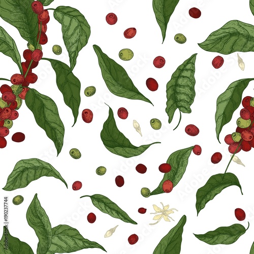 Elegant botanical seamless pattern with coffee tree branches, leaves, flowers...