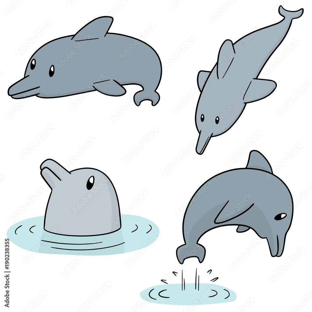 Fototapeta premium vector set of dolphin