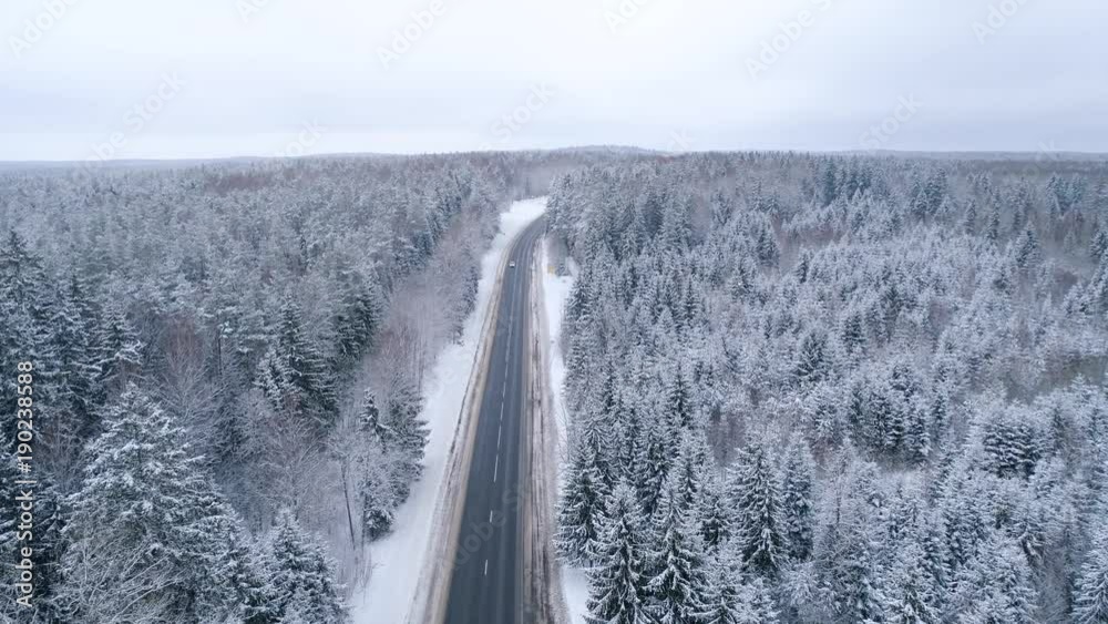 Winter snow covered forest aerial drone video pine tree white woods Belarus fly high road Winter snow covered forest aerial drone video pine tree white woods Belarus fly high road